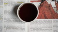Cara Cek Plagiarisme dengan Gaya Natural: Meningkatkan Kualitas Konten Anda ilustrasi